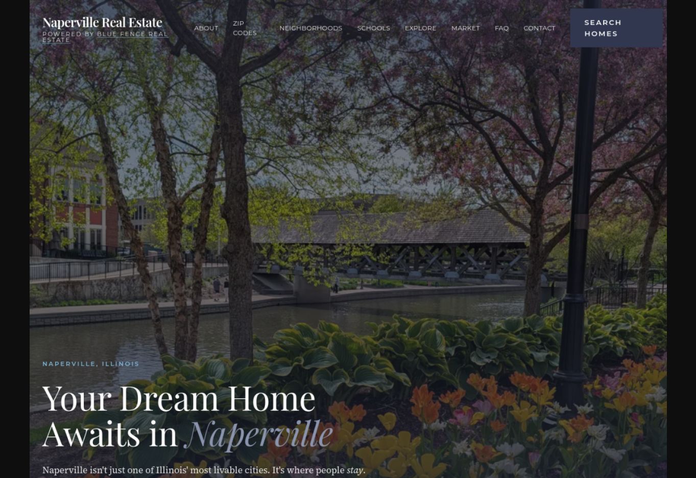 Naperville Real Estate website homepage
